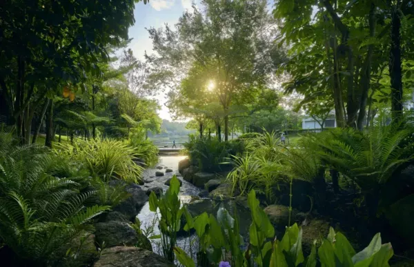 Desa Park City - Park